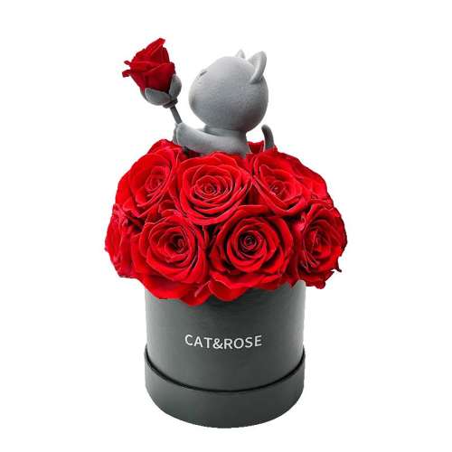 Ͱɫ CAT&ROSE˽499Ԫ