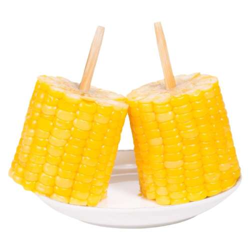 Ƽʳˮ׶4-6cm*3 Ｔˮʳ֬5.5Ԫ