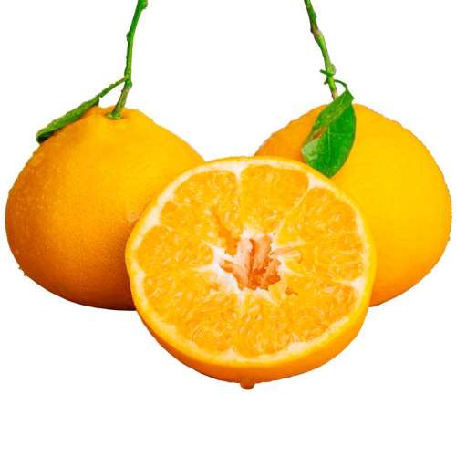 ڲ2 С65-70mmԳװͷСƼ ̳һƷʲǮ9.8Ԫ