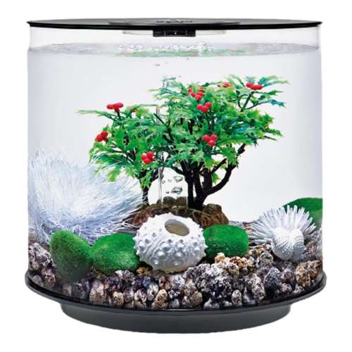 15Lŵڵ-쾰д䡾ɫ MCRơɱɫ ŷbiorb15lǿС5343.99Ԫ3(1781.33Ԫ/)