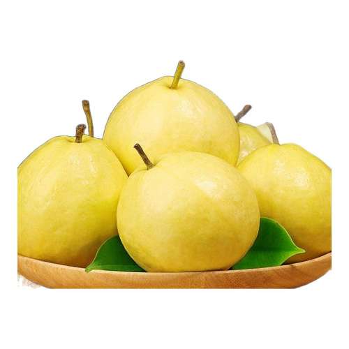 250g ŴͰ5ˮ6.7Ԫ