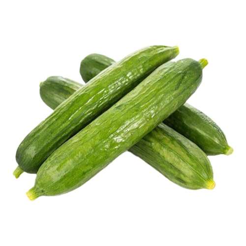 1 YIKECAIˮƹ500gСƹ޴̶̻ƹ߲ɳʳ15.28Ԫ2(7.64Ԫ/)
