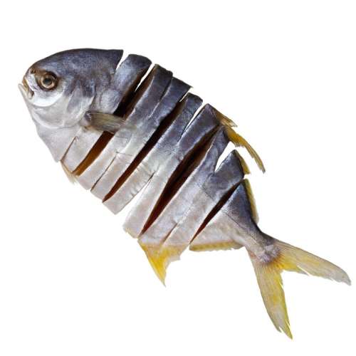 ⣨ȥͷ250gһ(250g) ɹտز㶫23.6Ԫ