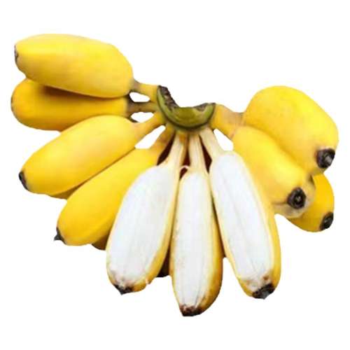 1 ժحС׽10㽶 5.5Ԫ