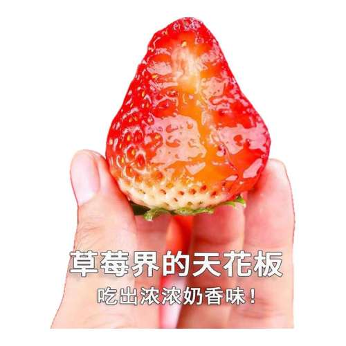 ڲ500g й13-20ˣ ݮˮ5Ӧ22.6Ԫ