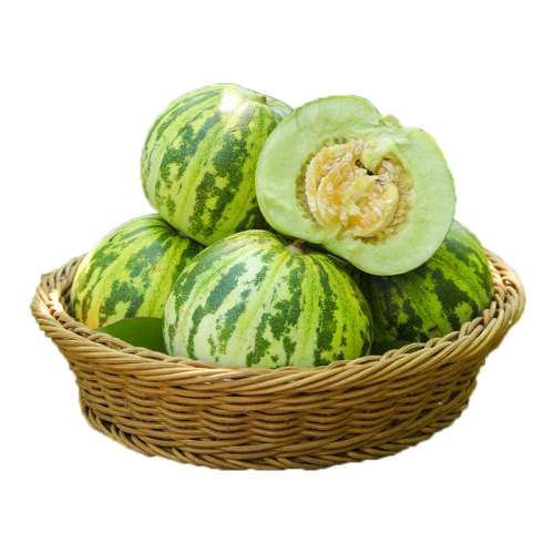 ڲ1 ͨװԻʣ 5ڰ㻨4.8Ԫ