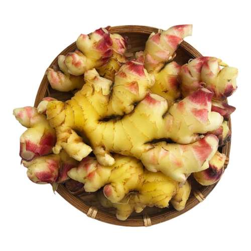 ڲ500g Сƽ95.7Ԫ