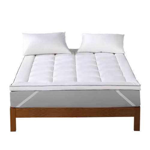 ۻ㣺׼Լ3CMAƷ+˫濹 90cm195cm-ѧ˯ߡ ˮǼҷĿ254.52Ԫ2(127.26Ԫ/)