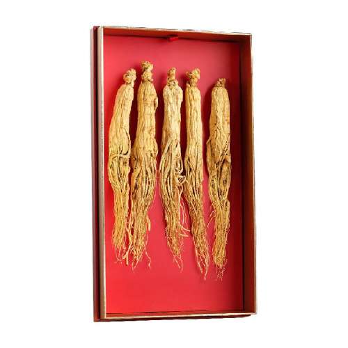 100g ͬóɽ˲100g253.65Ԫ(88VIP 95)