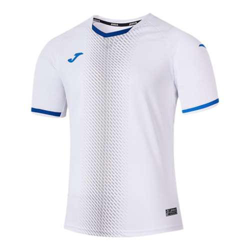 ɫ S JOMA˶tļʿ305Ԫ5(61Ԫ/)