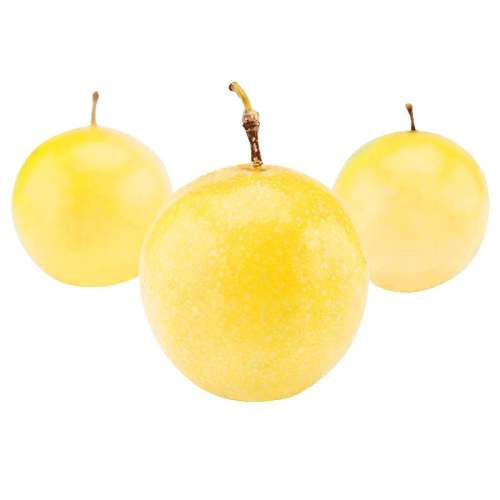 500g й60g-70g lֻƽ΢30.42Ԫ