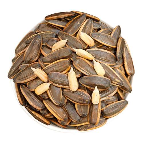 ڲζӡ500g*11 »500gζɽζѿӳʳ8.9Ԫ