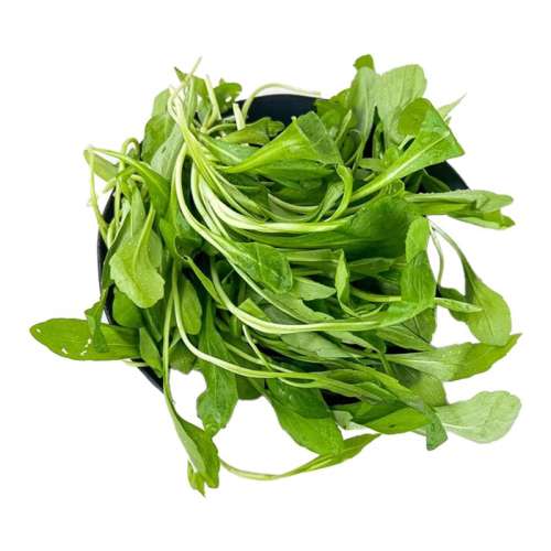 ڲ250g ͷժҰʱҰ19.7Ԫ