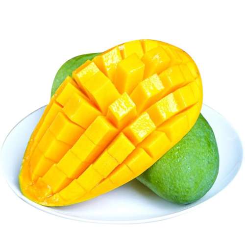 ڲ1 йԳԳʣ âƤâʵӦƤâˮˮ94.9Ԫ