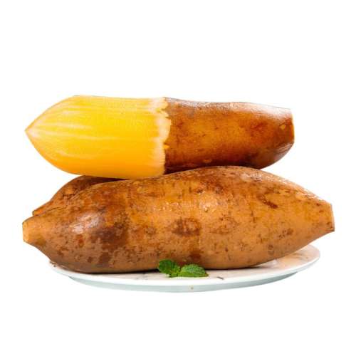 ��ɽѩ���� �����֭ 13.54Ԫ