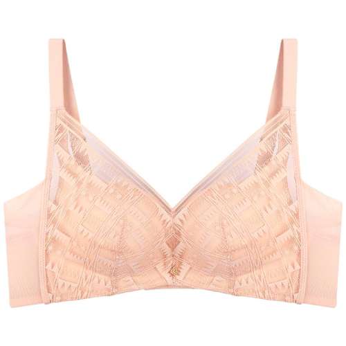 ۻ㣺ɫ(DF2304) 75A ò̳ͬСؾ£ո250Ԫ5(50Ԫ/)