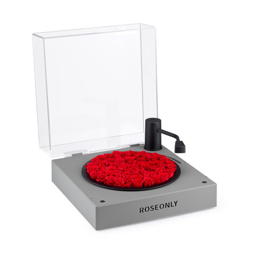 NEWƷɫ-С-ɫ ROSEONLYõ廨Ů2999Ԫ