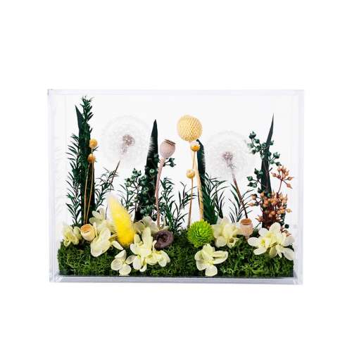 ѹӢ?ǿڼ roseboxѹӢǿ179.1Ԫ
