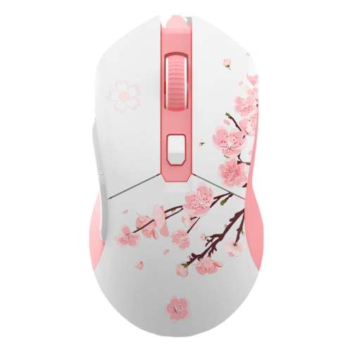 ڲٷ RGB+2.4G˫ģ EM901118Ԫ