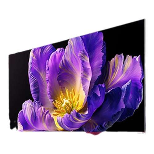 75Ӣ С׵L75MA-SM 75Ӣ ٷ 20%С׵ӻS Pro75 MiniLEDˢƽӴ洢5651.55Ԫ(88VIP 95)