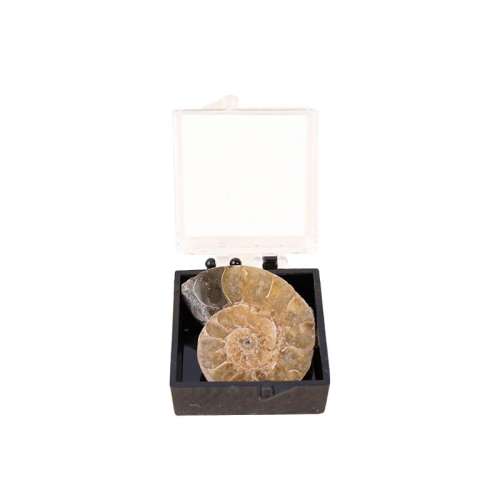 ҶβԼ1-3cm ﻯʯ걾ͯŽѧ4.5Ԫ