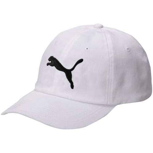 ڲ02/ͼ  ѼñPuma¿ñ33Ԫ