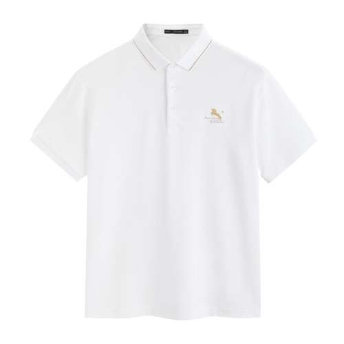 ɫ壩 L T̫ƽpolo169.6Ԫ
