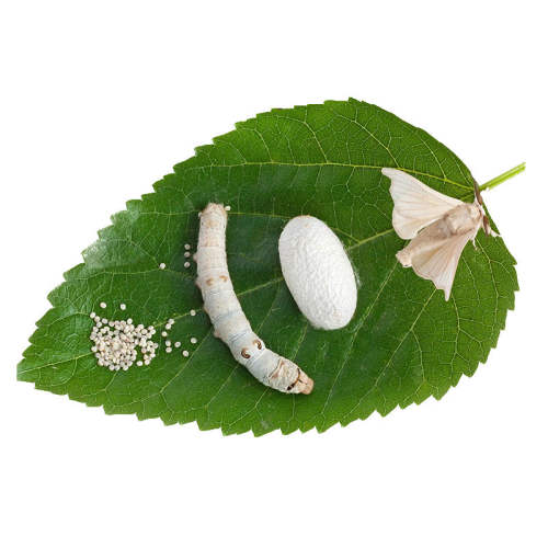 ɣҶ30 ϱʳɣҶʲҶժ500g7.5Ԫ5(1.5Ԫ/)