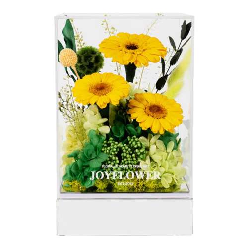 ۻ㣺̫ɫůǿ rosebox̫ǿ269.1Ԫ