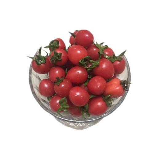 1500g ɽǧСˮʥŮ36.38Ԫ2(18.19Ԫ/)