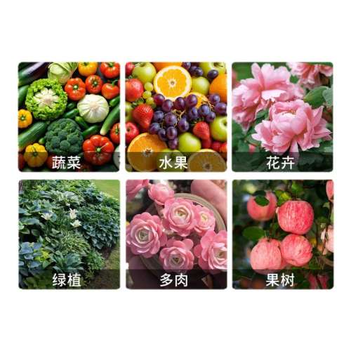 ڲװ450g+ѱ450g ѱֲרط7.9Ԫ