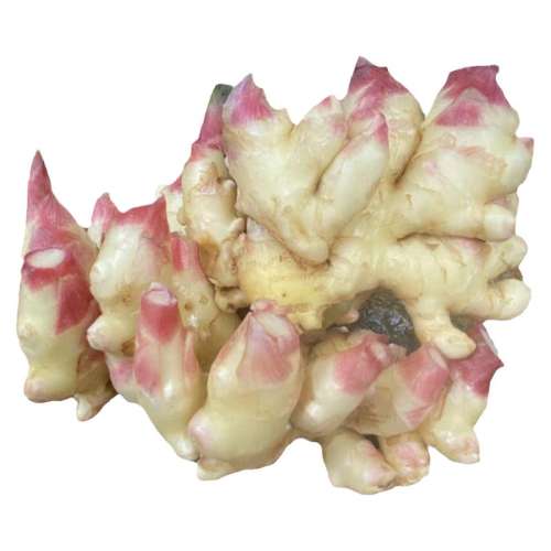 ڲ500g ۽ϡ5 11.79Ԫ