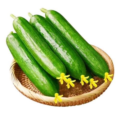5 ɽٹˮƹ5Դϵ޴Сƹٹ߲18.59Ԫ