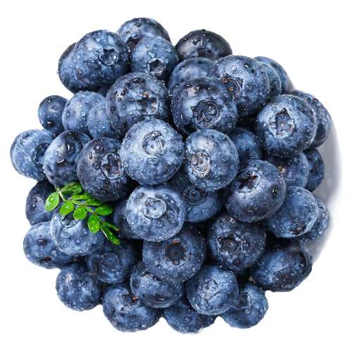 ڲ2 ˳حС15mmح125gحԳԳ L25㡿ѡ25mmݮ34.7Ԫ