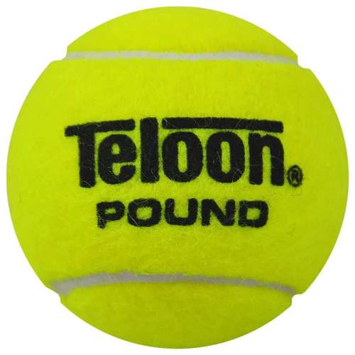 P4 һͰʡ Teloonѧ33.93Ԫ