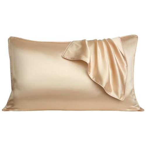 ۻ㣺48cmX74cm  ˹ŵ׷˿˿60.94Ԫ(88VIP 95)