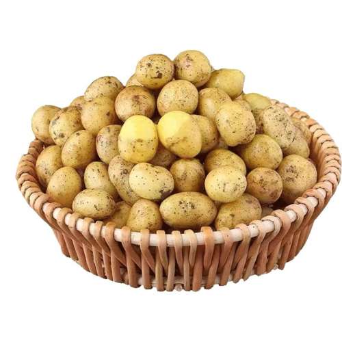 1500g ѡСҴС ʩСںʻ8.8Ԫ