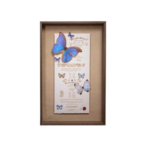 Ʒ +ҹ 35x50cm 걾ݺʽǨ4800Ԫ