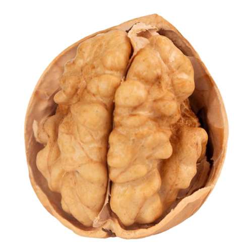 100g*1 ½Ƥ2024»ʰձƤиרز6.9Ԫ