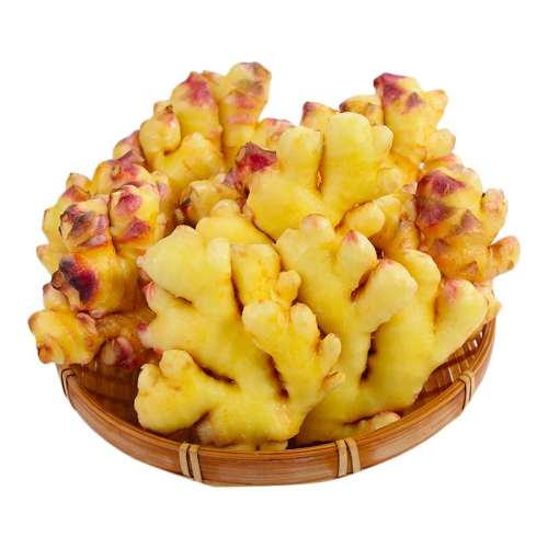 ڲ500g 2025Сƽ94.3Ԫ