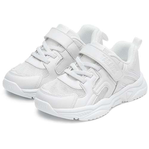 ۻ㣺ɫ- 24 ̩˹¿ٴСЬ249Ԫ
