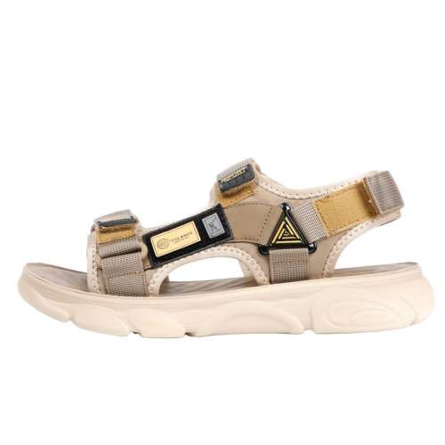 ۻ㣺ɳɫ 38 ʥЬ2024ļ135Ԫ