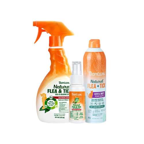 Ȯá60ml ȥè80.75Ԫ5(16.15Ԫ/88VIP 95)