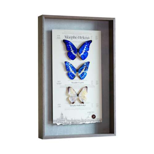 Ʒʺ롿 32x50cm 걾عһ4200Ԫ