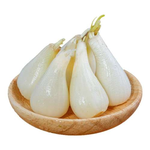 ڲ250g 2025Ĵˊͷ5װ5.7Ԫ