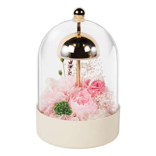 ۻ㣺ĸ׻念ܰĵơɫ ĸ׽ڣ520269.1Ԫ