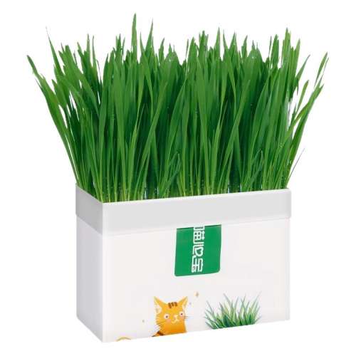 èݡ1װ èֲˮ໯ëèèԼֺèʳƷ6.9Ԫ