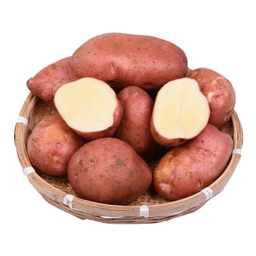 ڲ1500g СС Ƥƹ95.7Ԫ