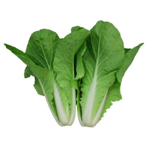 ˫30F1 10g/ Сײٺļʵ24Ԫ,ۺ4.8/