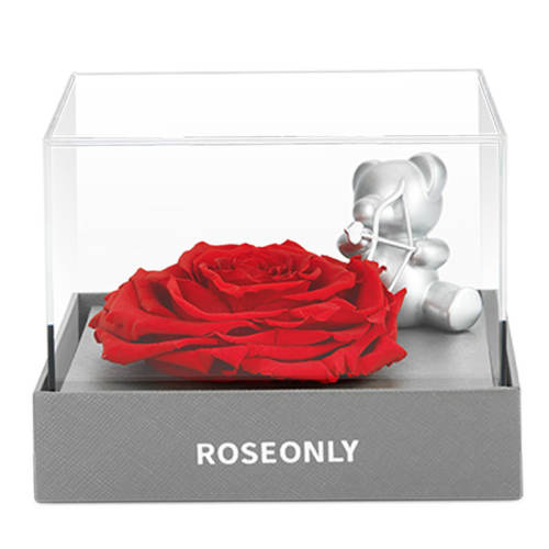 С-С-ɫ ROSEONLYŮ520Ԫ